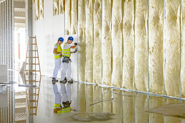 Best Commercial Insulation Services  in Lakeside, CA